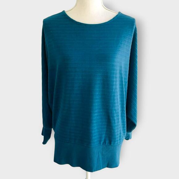 Saturday Sunday Shawna Hacci Velour Dolman Sleeve Sweater Blue Viscose Ribbed M - Picture 2 of 12